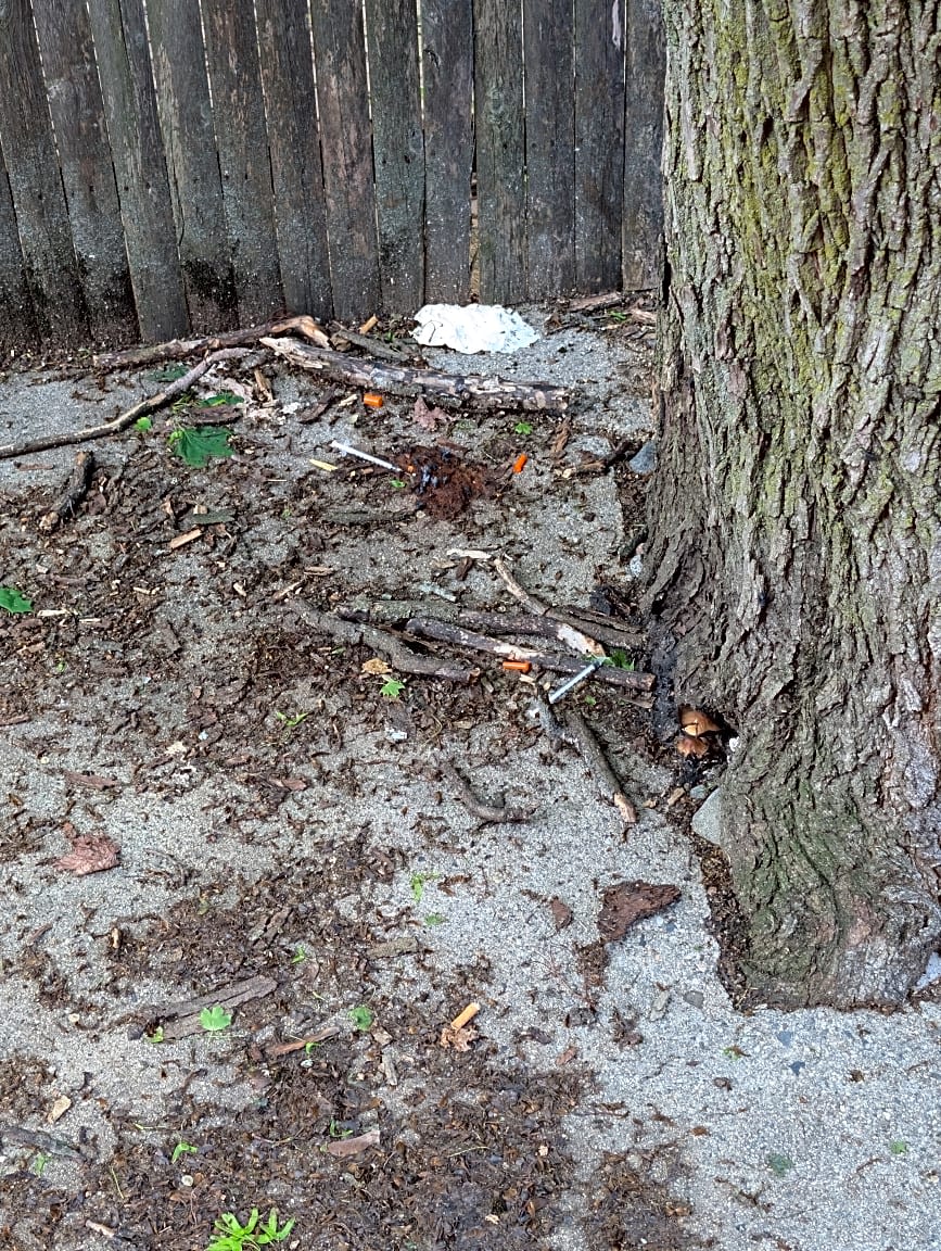 Image submitted with report
