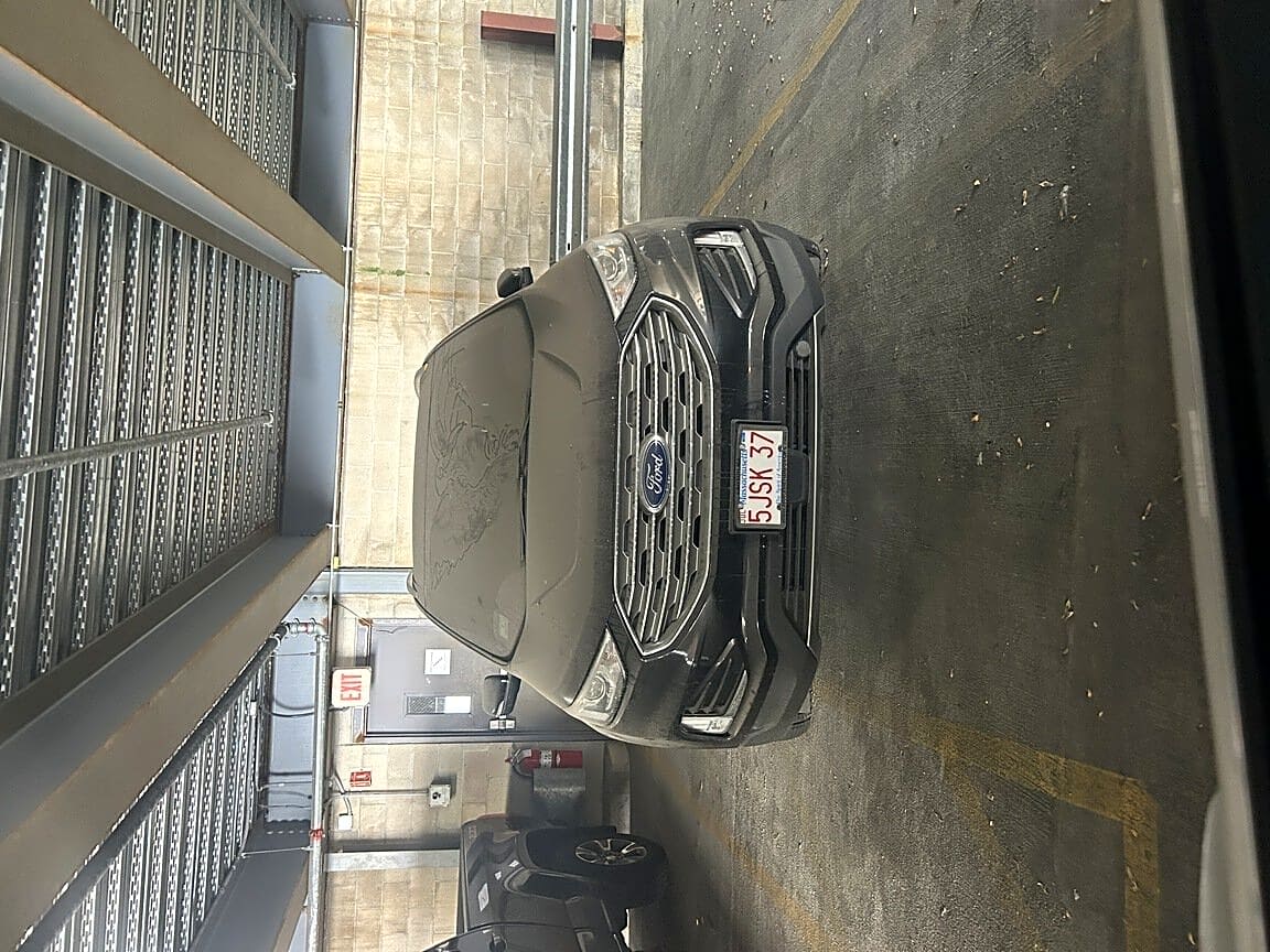 Image submitted with report