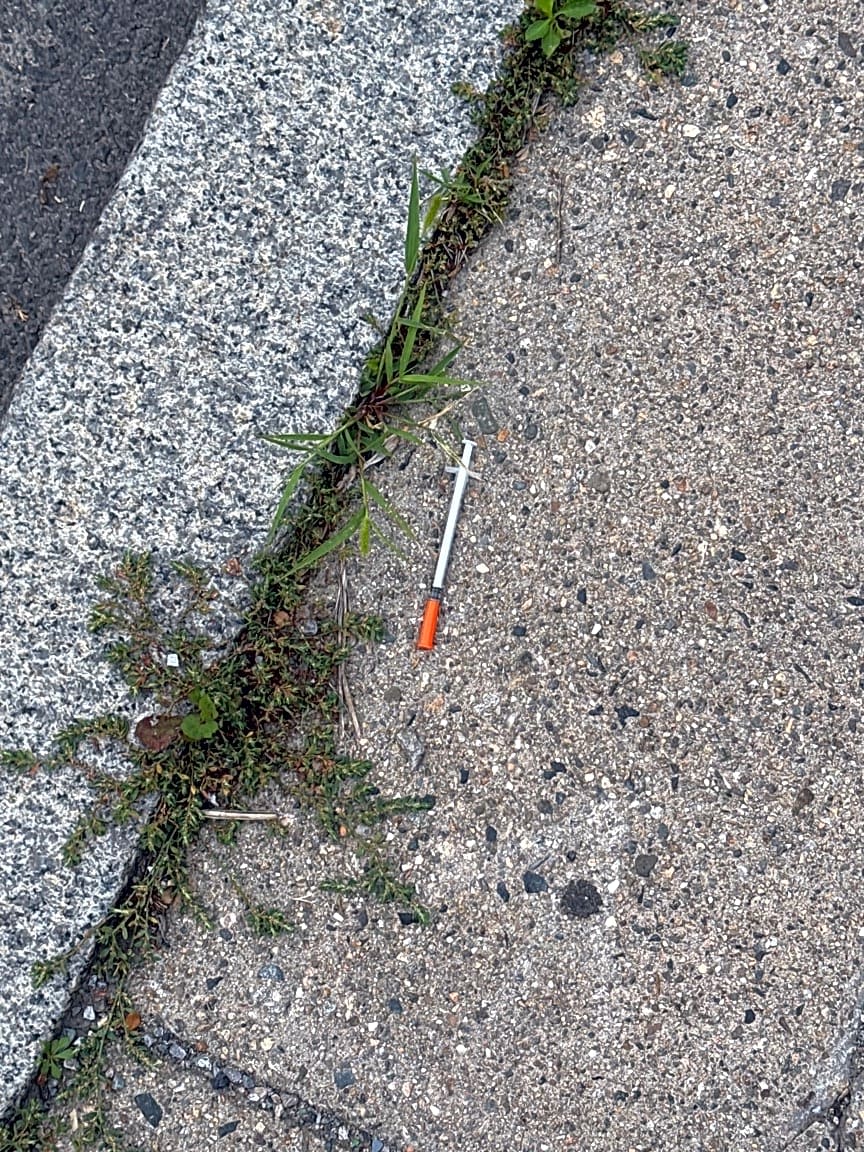 Image submitted with report