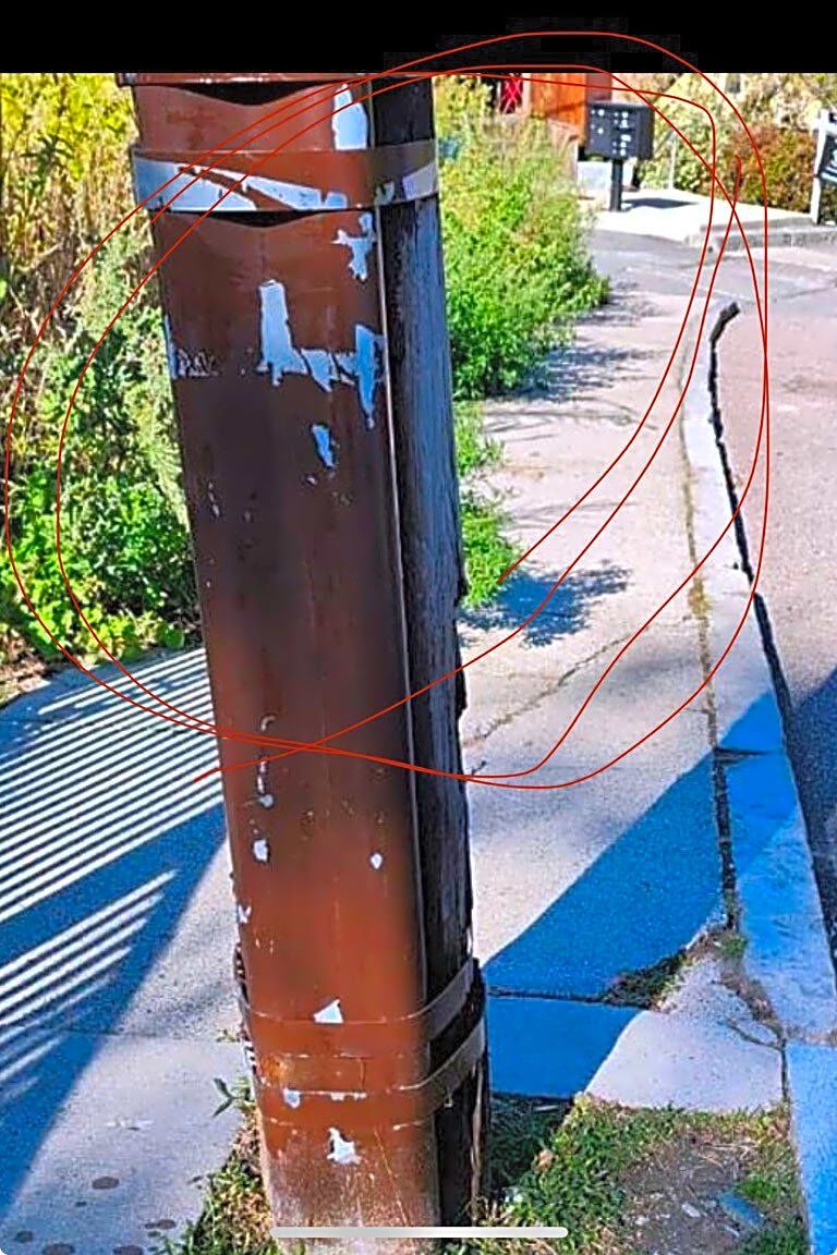 Image submitted with report
