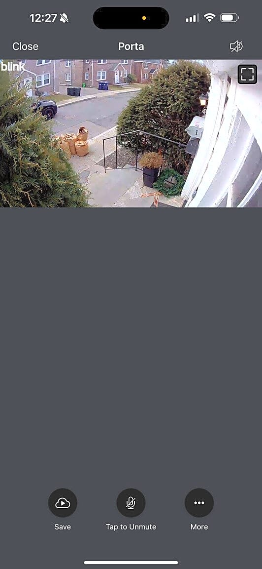 Image submitted with report