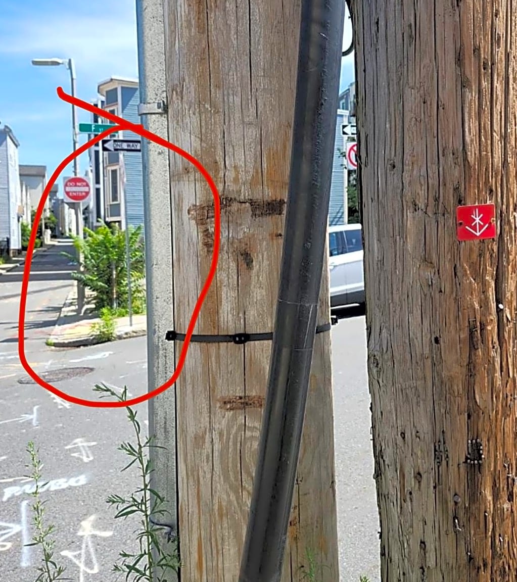 Image submitted with report