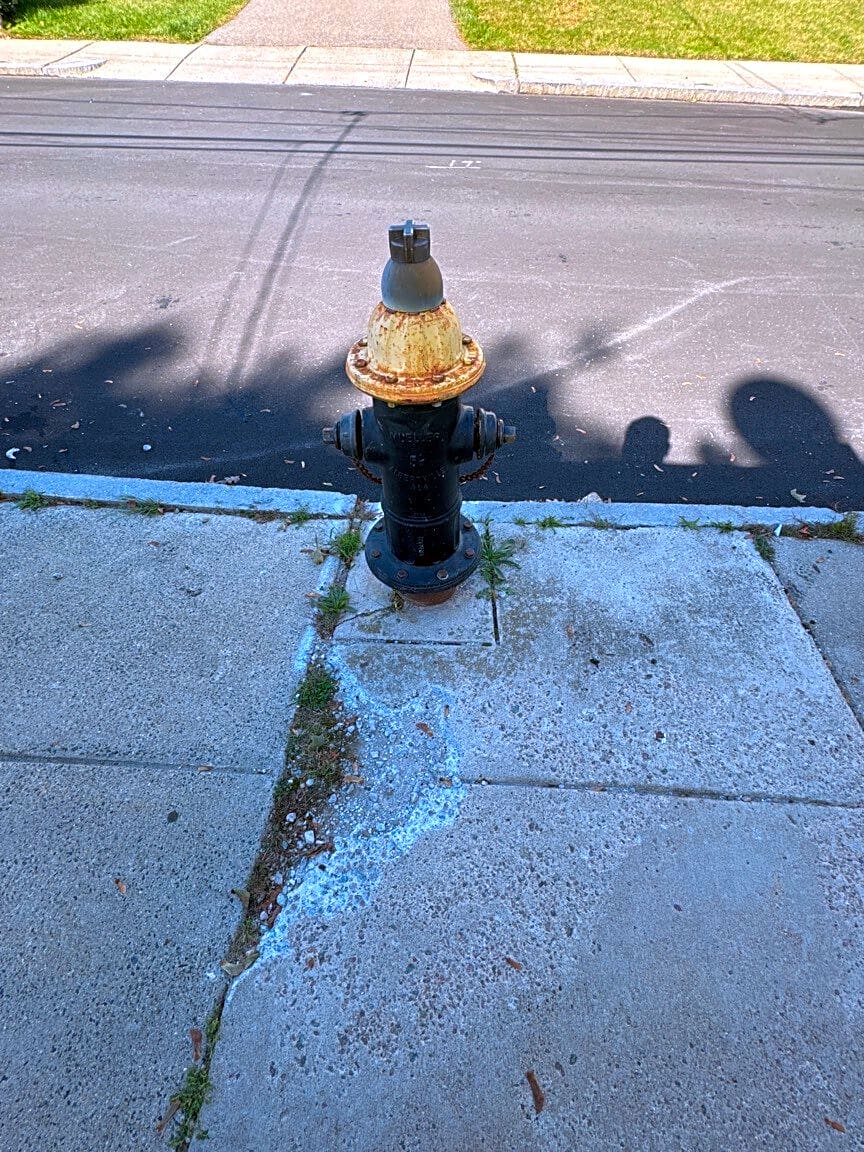 Image submitted with report