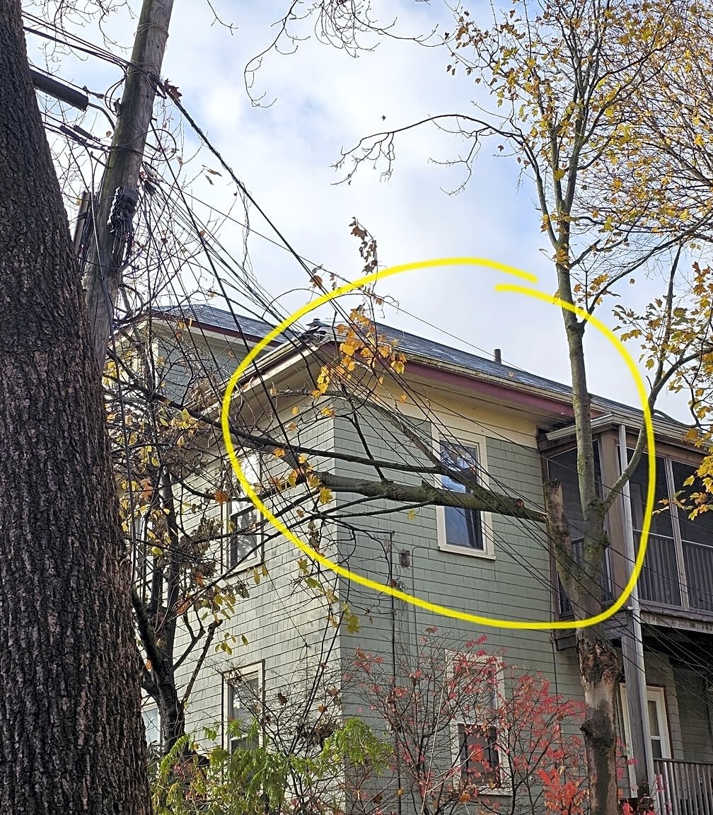 Image submitted with report