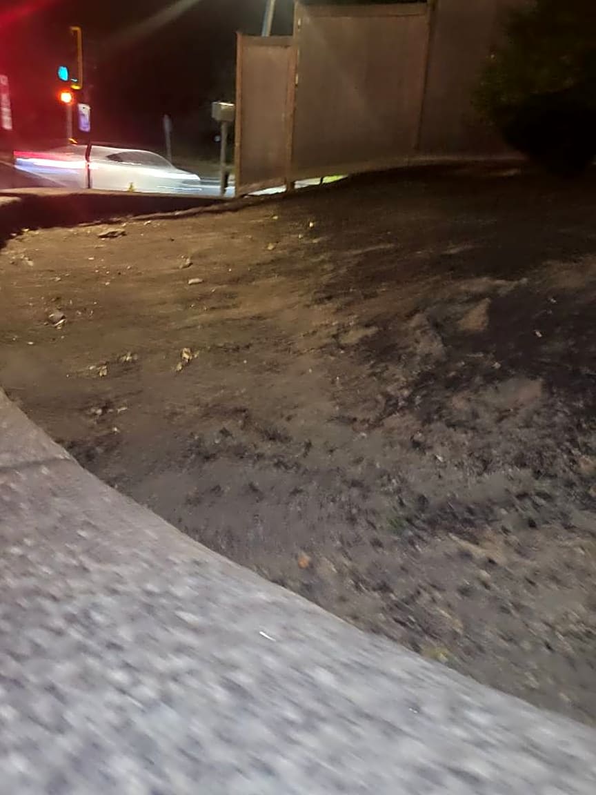 Image submitted with report