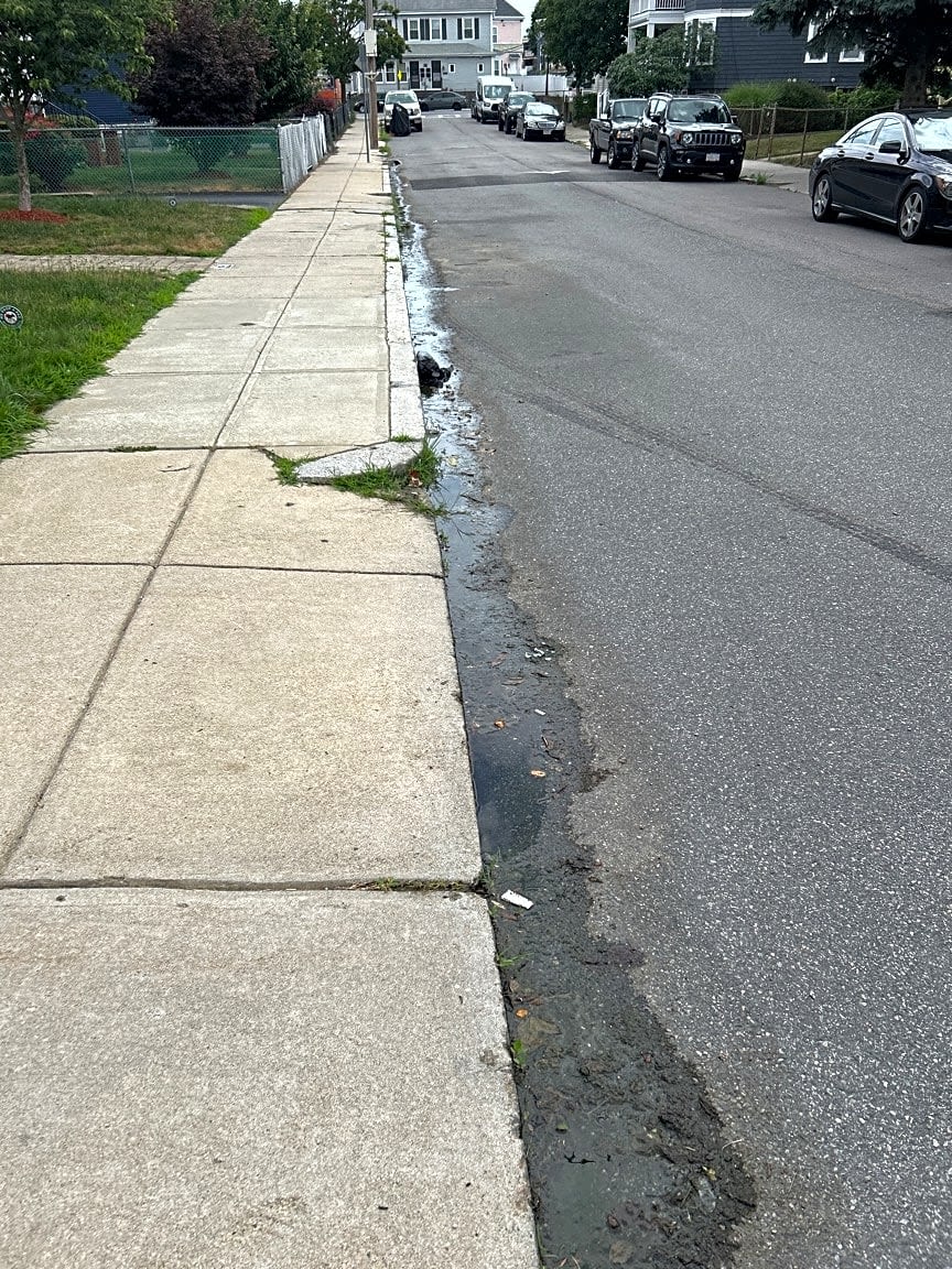 Image submitted with report