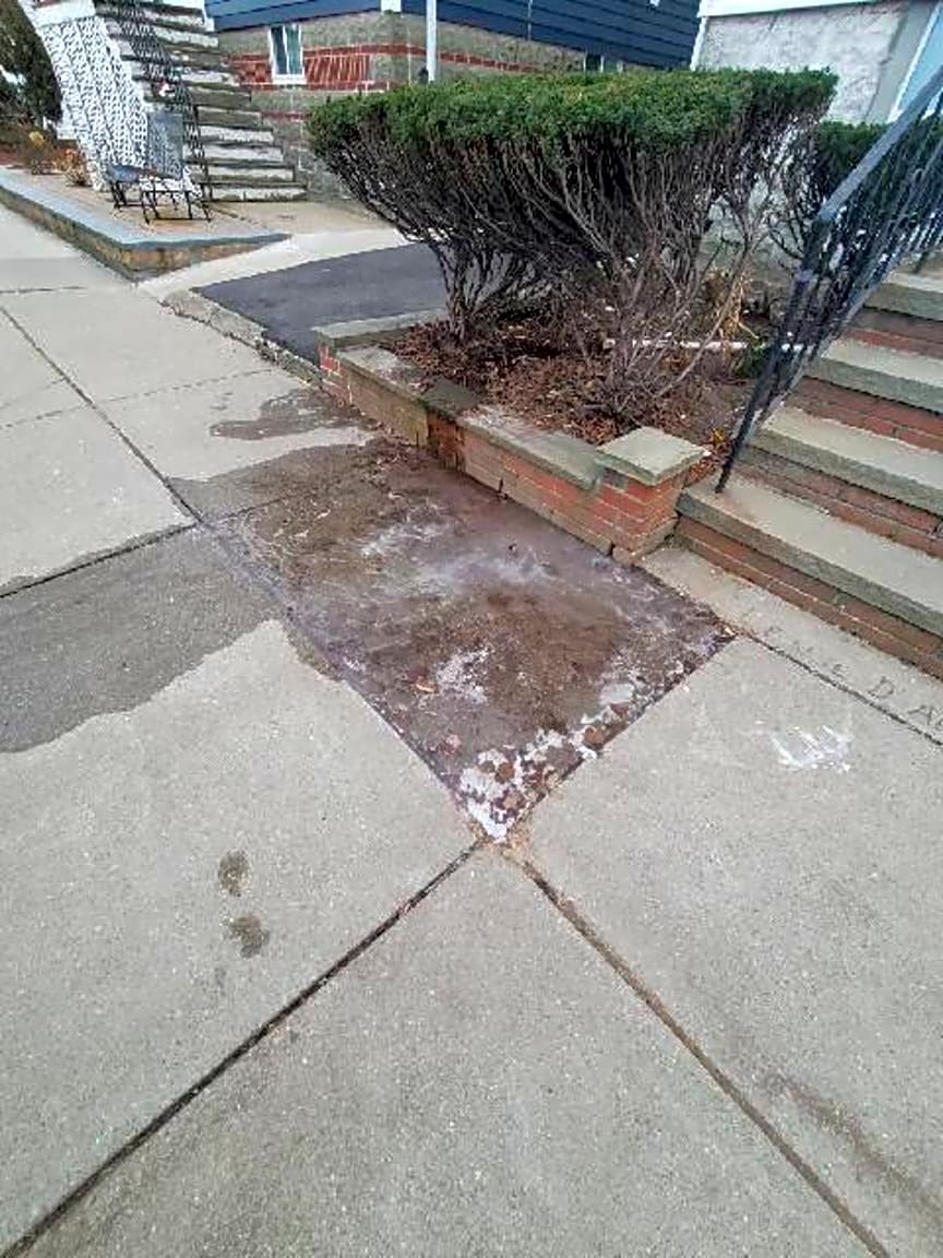 Image submitted with report