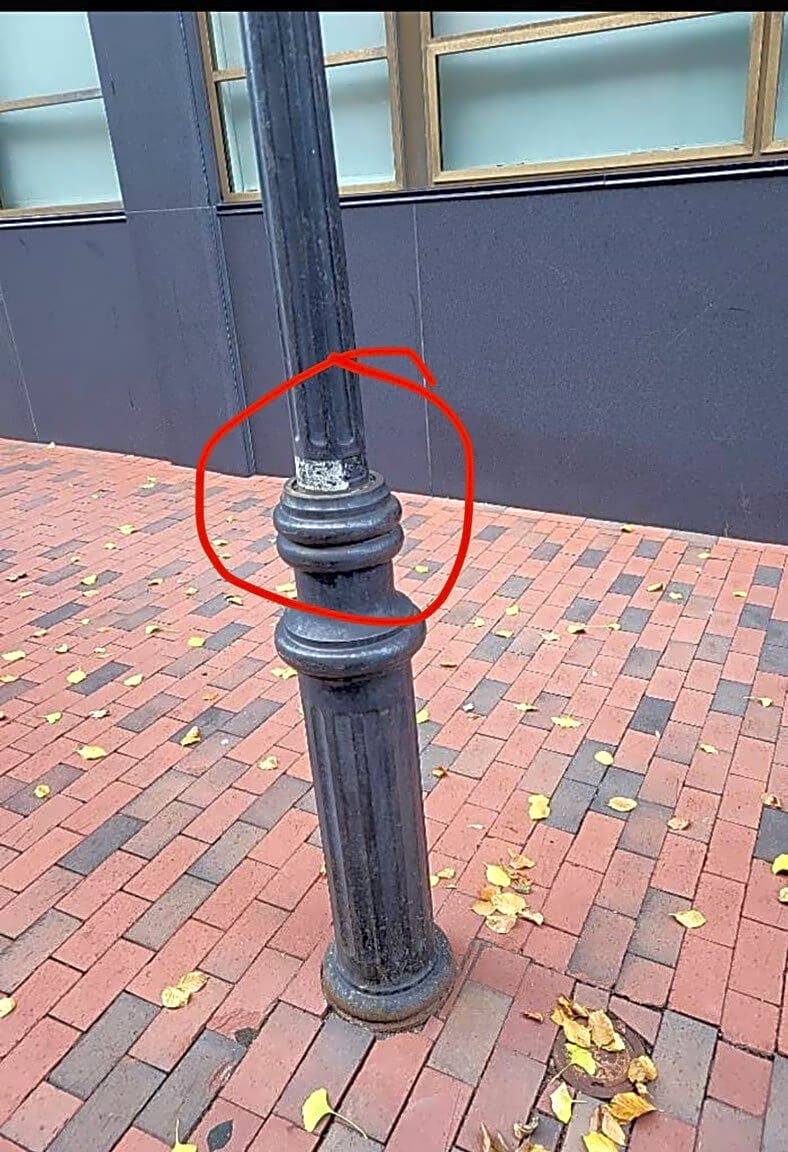 Image submitted with report