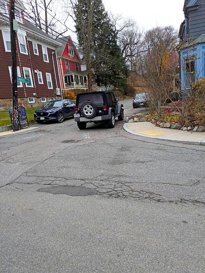 Image submitted with report