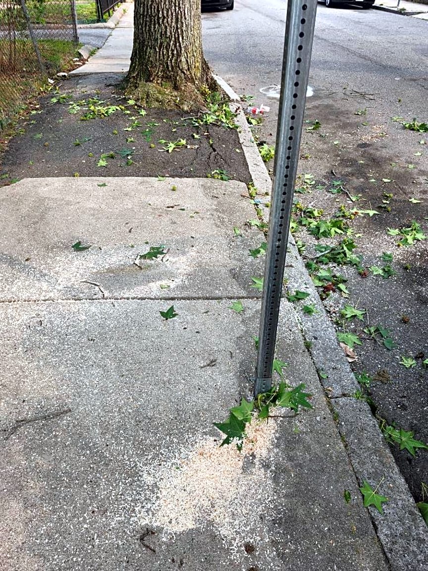 Image submitted with report