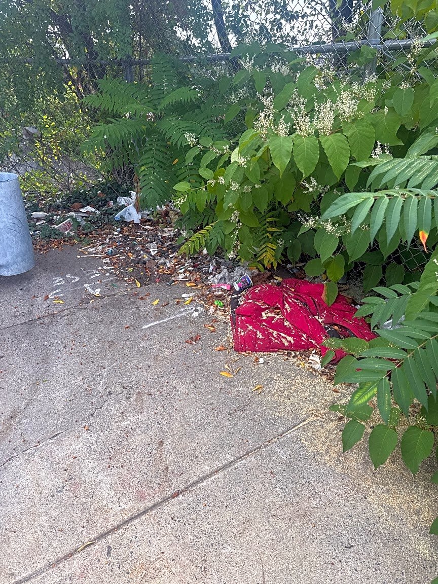Image submitted with report