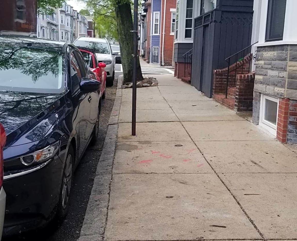 Image submitted with report