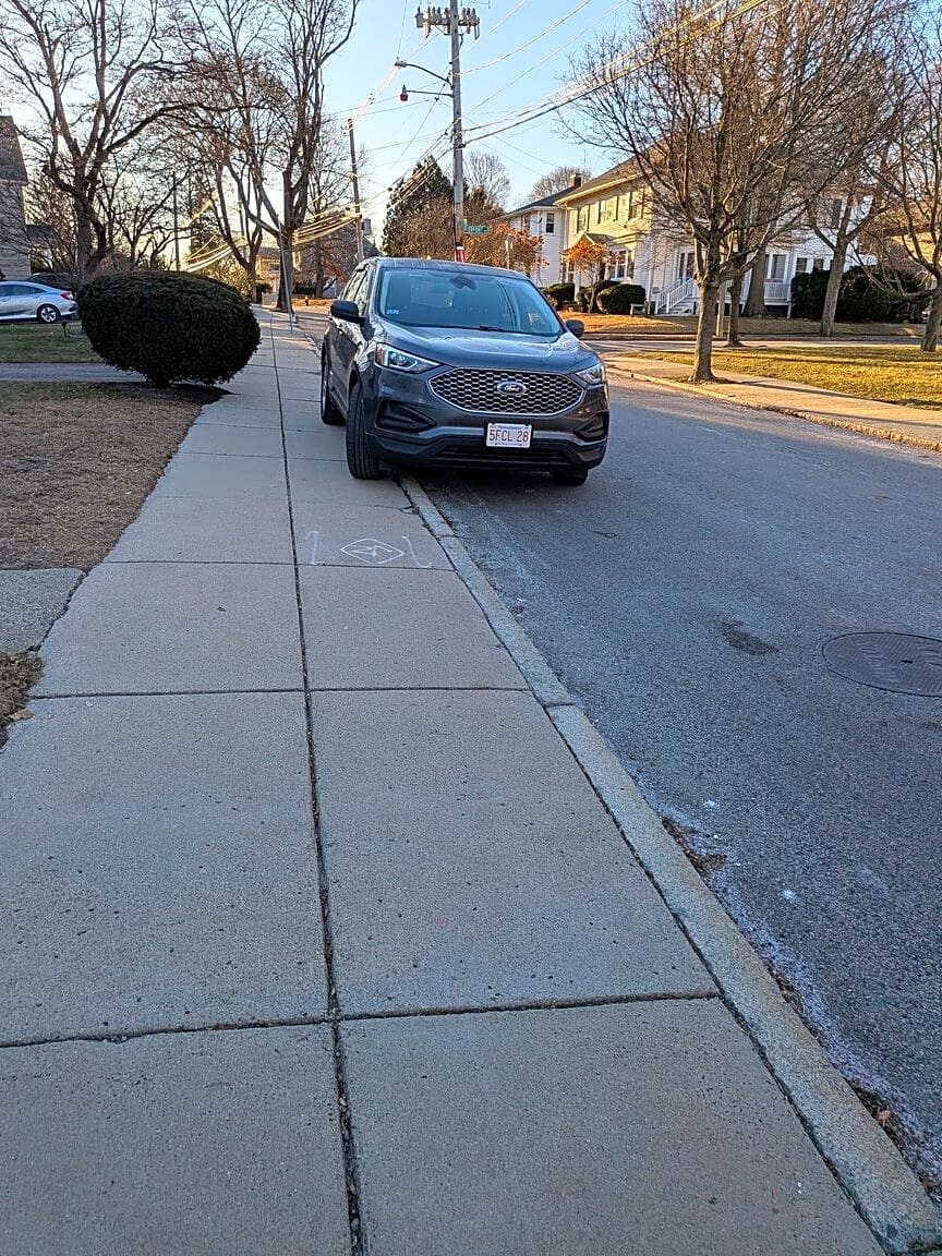 Image submitted with report