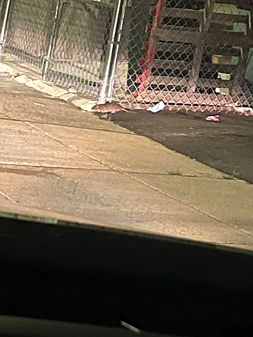Image submitted with report