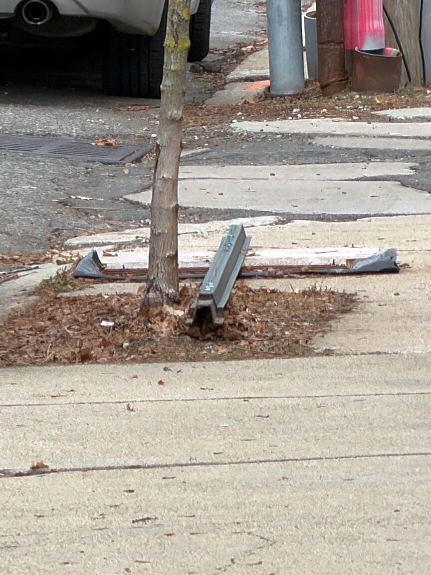 Image submitted with report