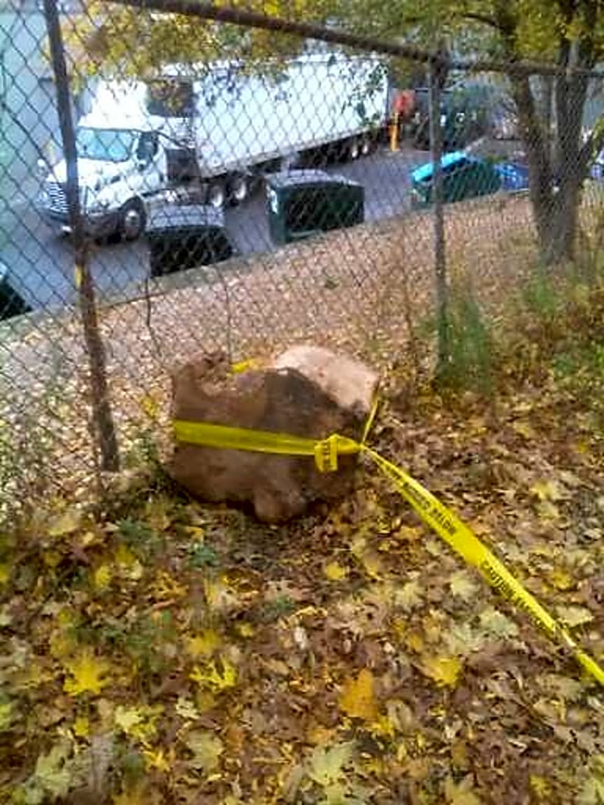 Image submitted with report