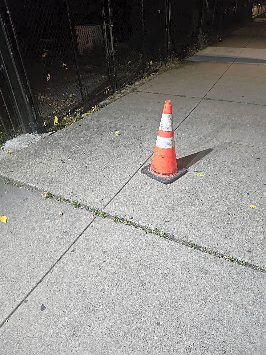 Image submitted with report