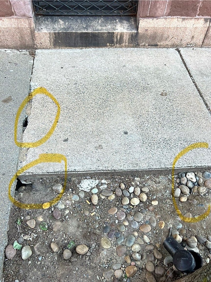 Image submitted with report