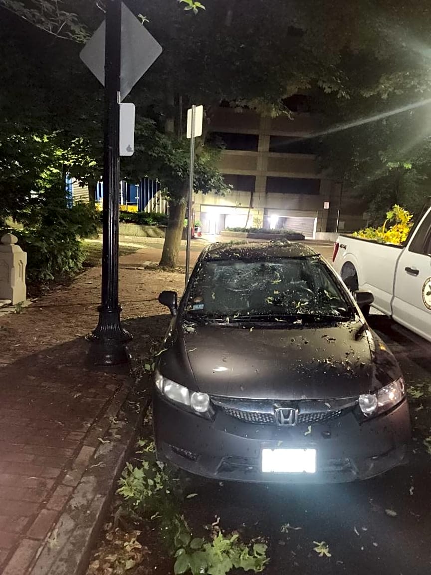 Image submitted with report