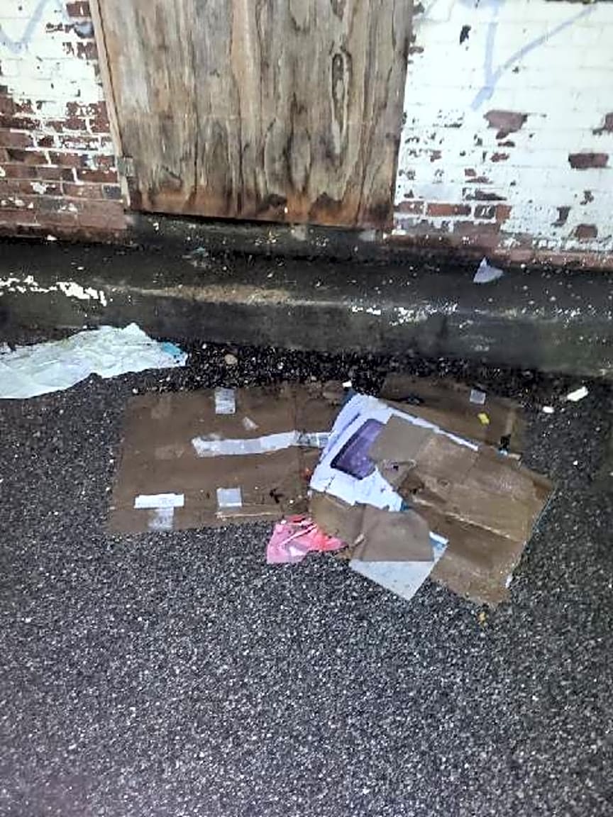 Image submitted with report