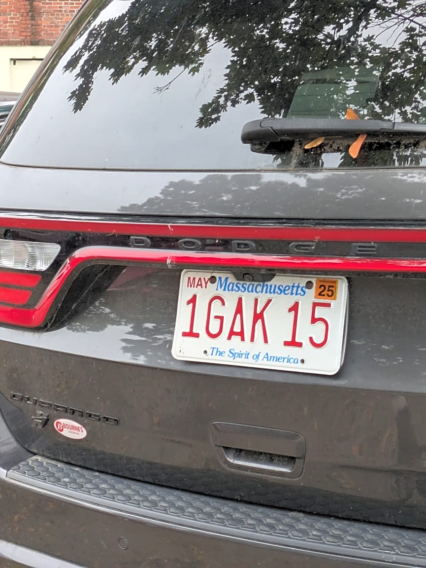 Image submitted with report