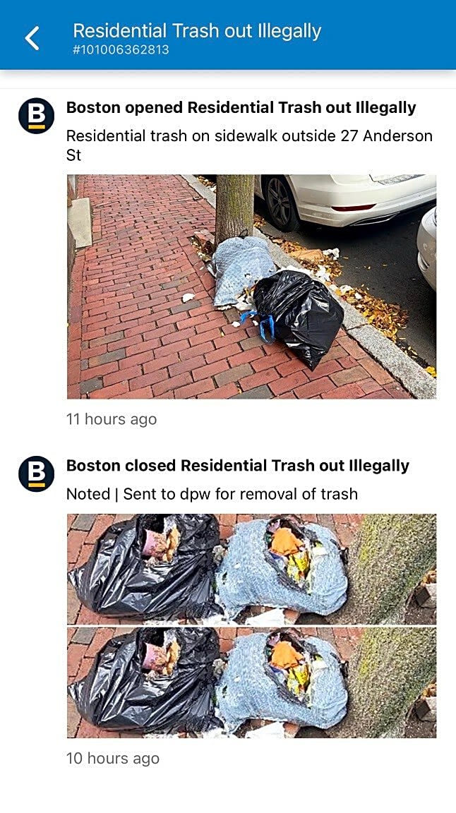 Image submitted with report