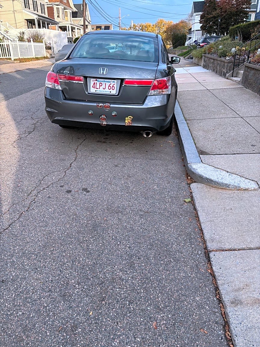 Image submitted with report