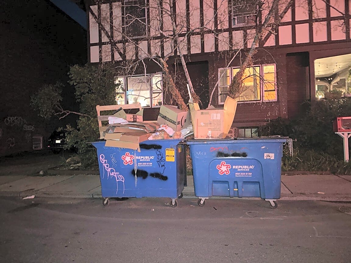 Image submitted with report