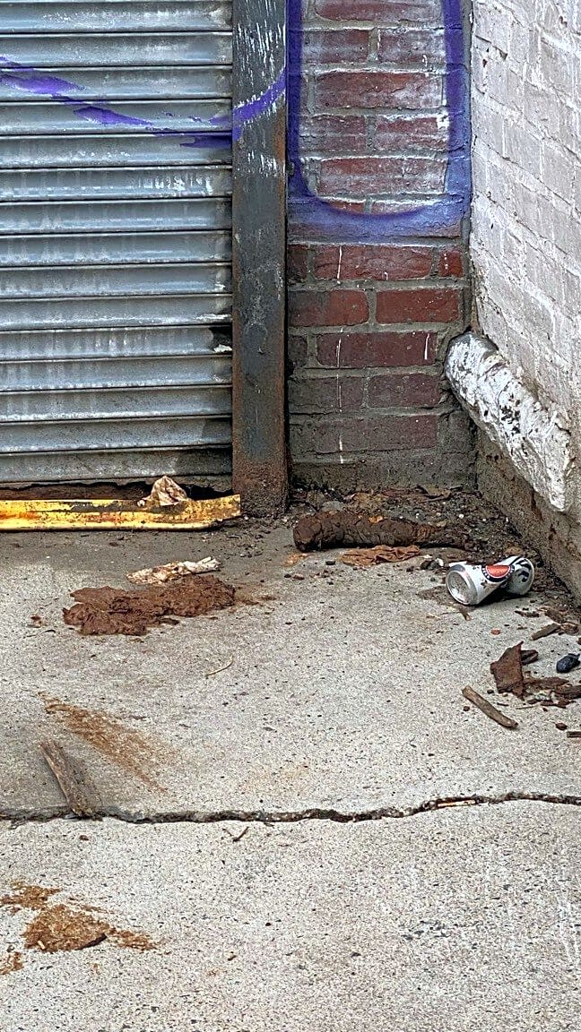 Image submitted with report