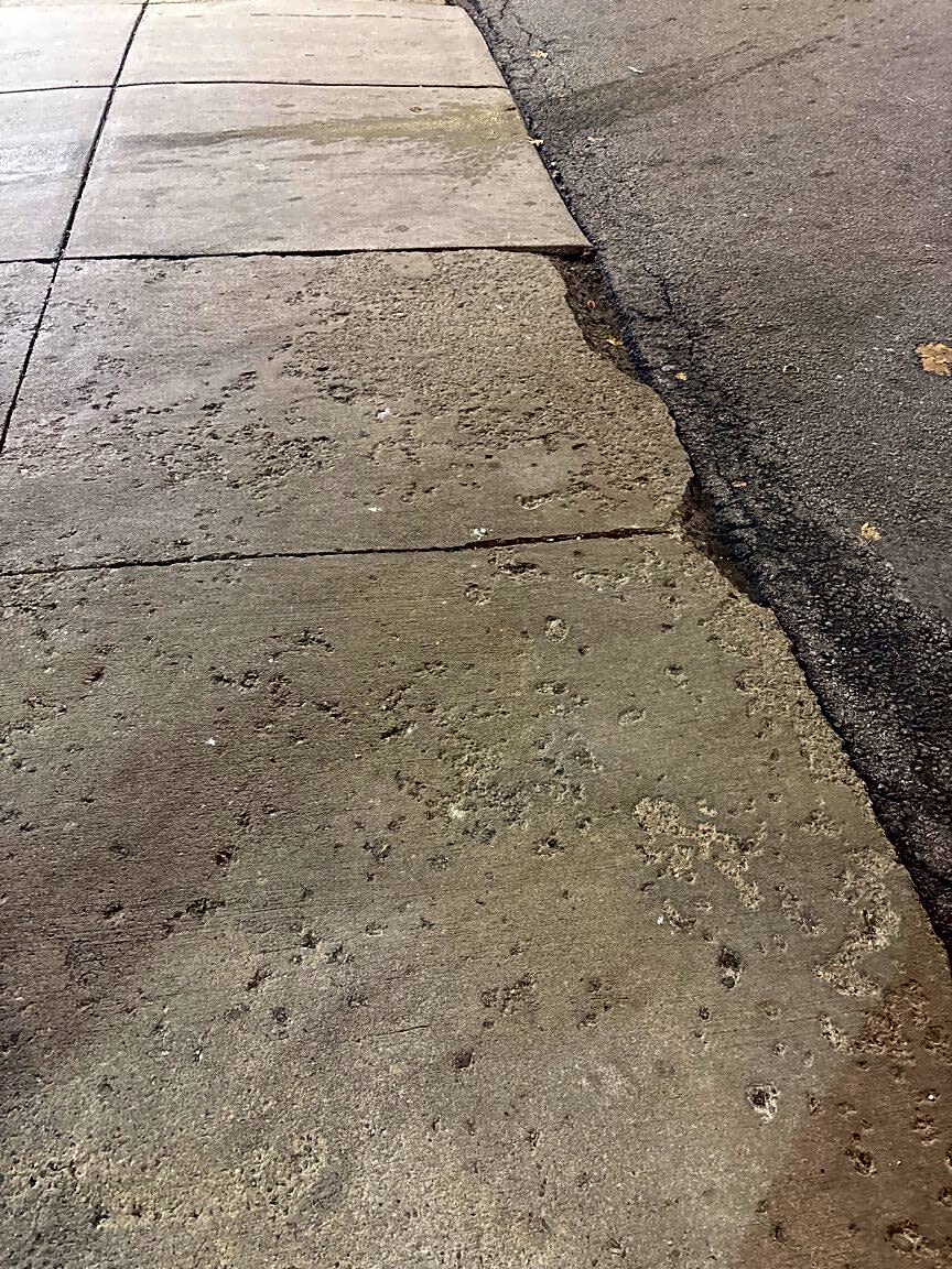 Image submitted with report