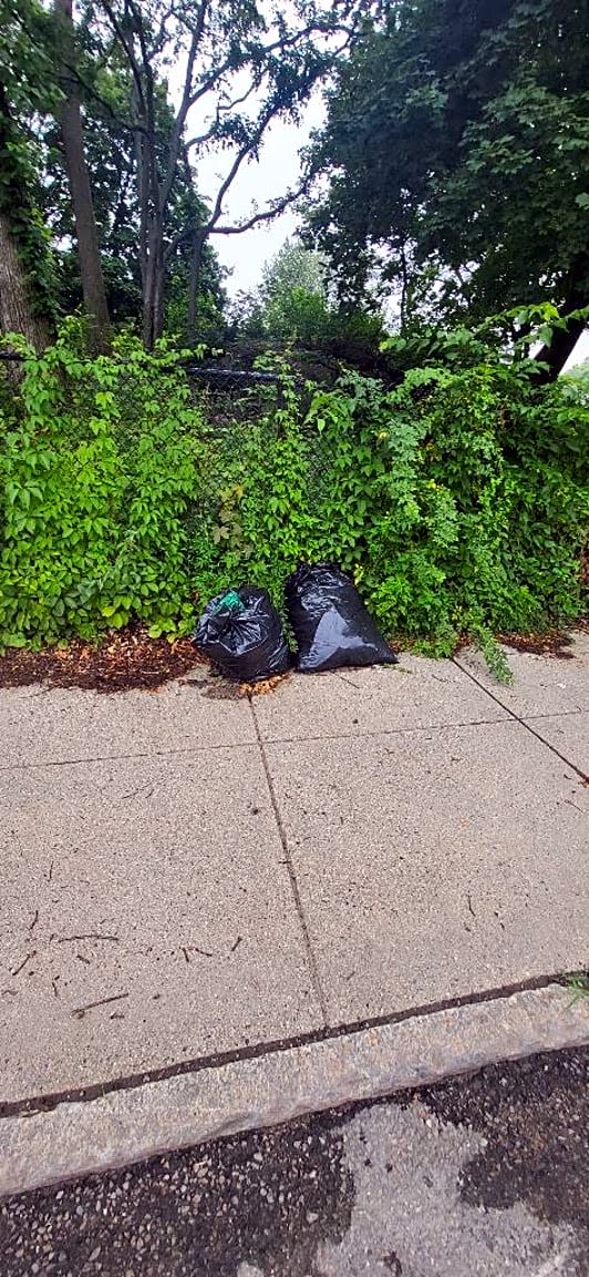 Image submitted with report