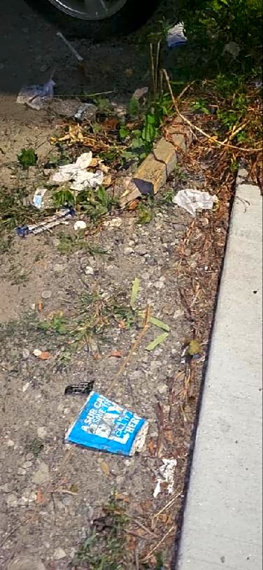 Image submitted with report