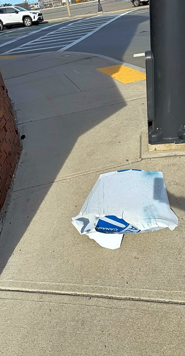 Image submitted with report