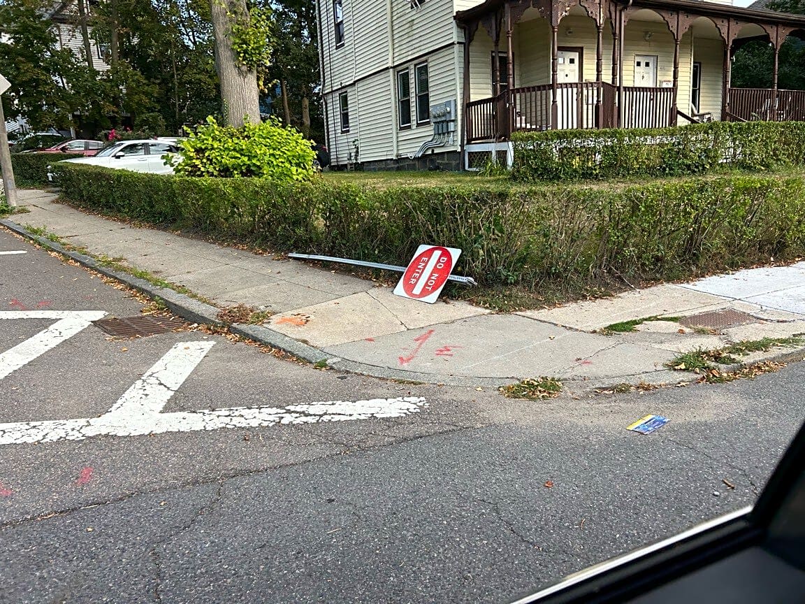 Image submitted with report