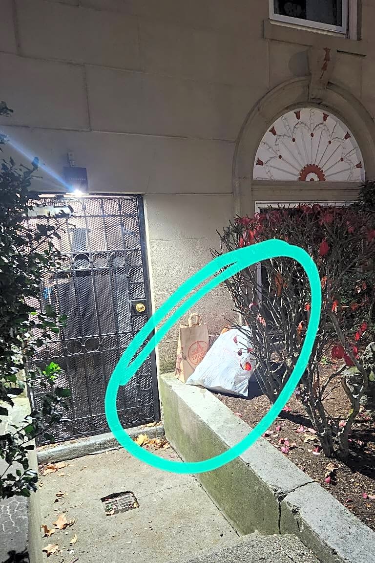 Image submitted with report