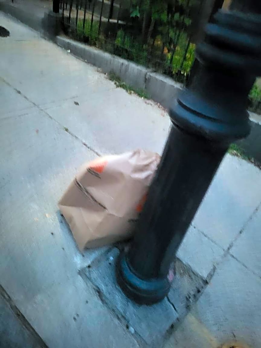 Image submitted with report