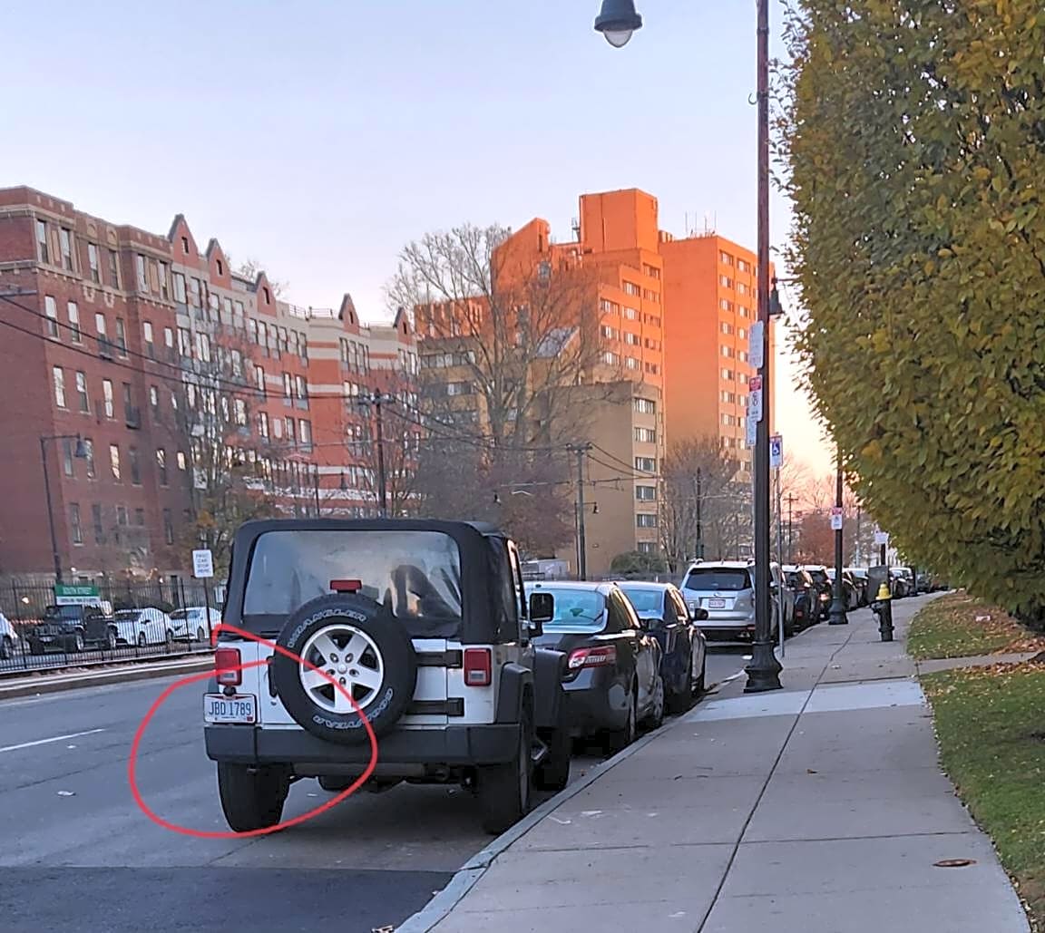 Image submitted with report