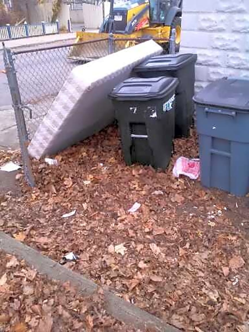 Image submitted with report