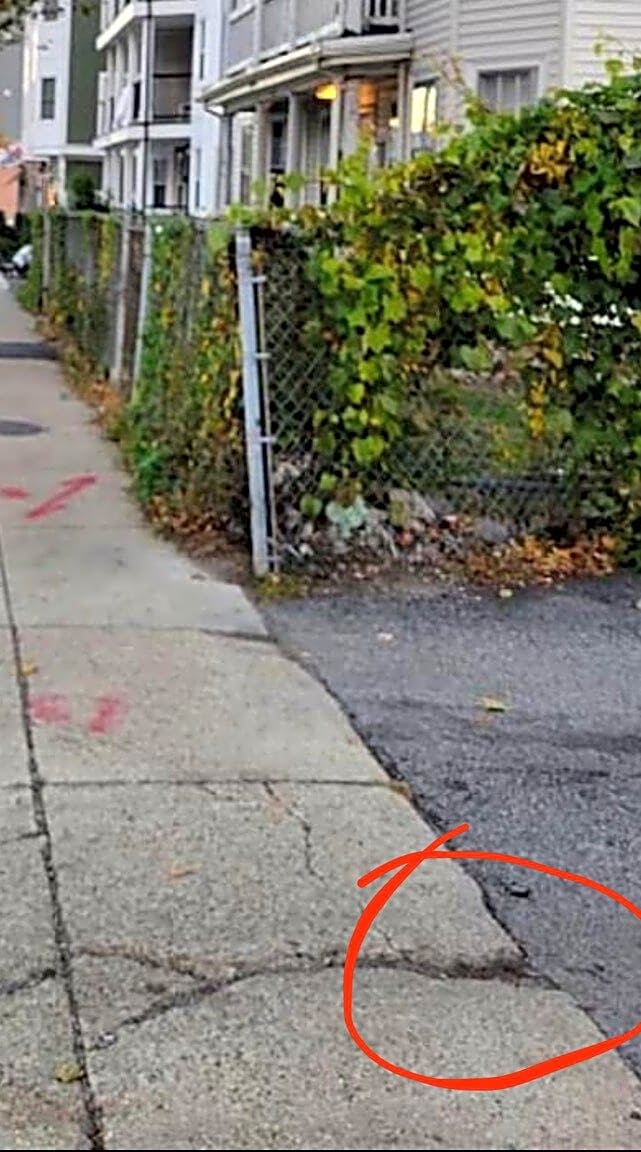 Image submitted with report