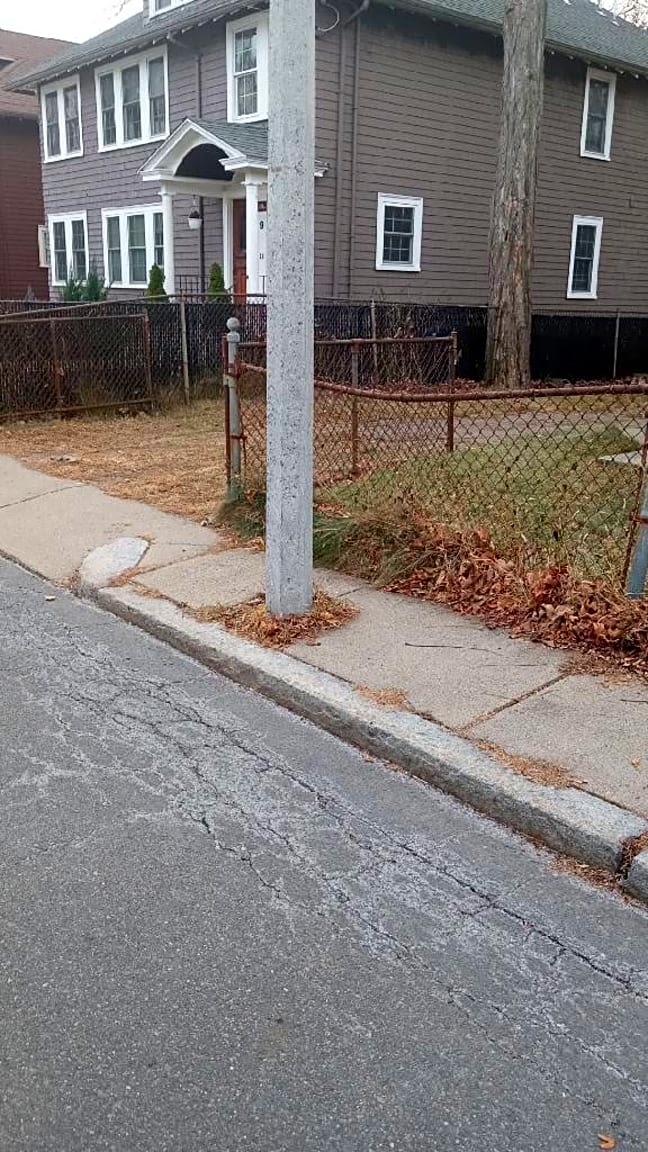 Image submitted with report