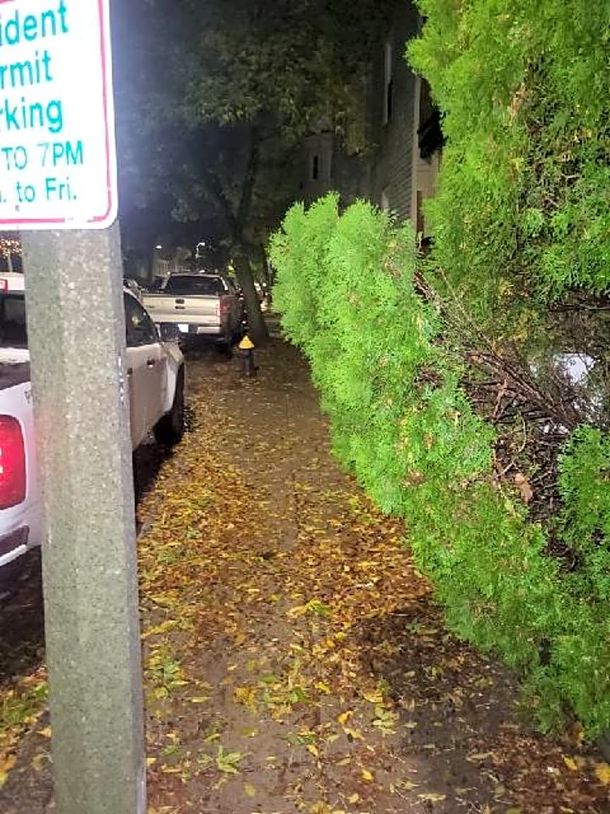 Image submitted with report