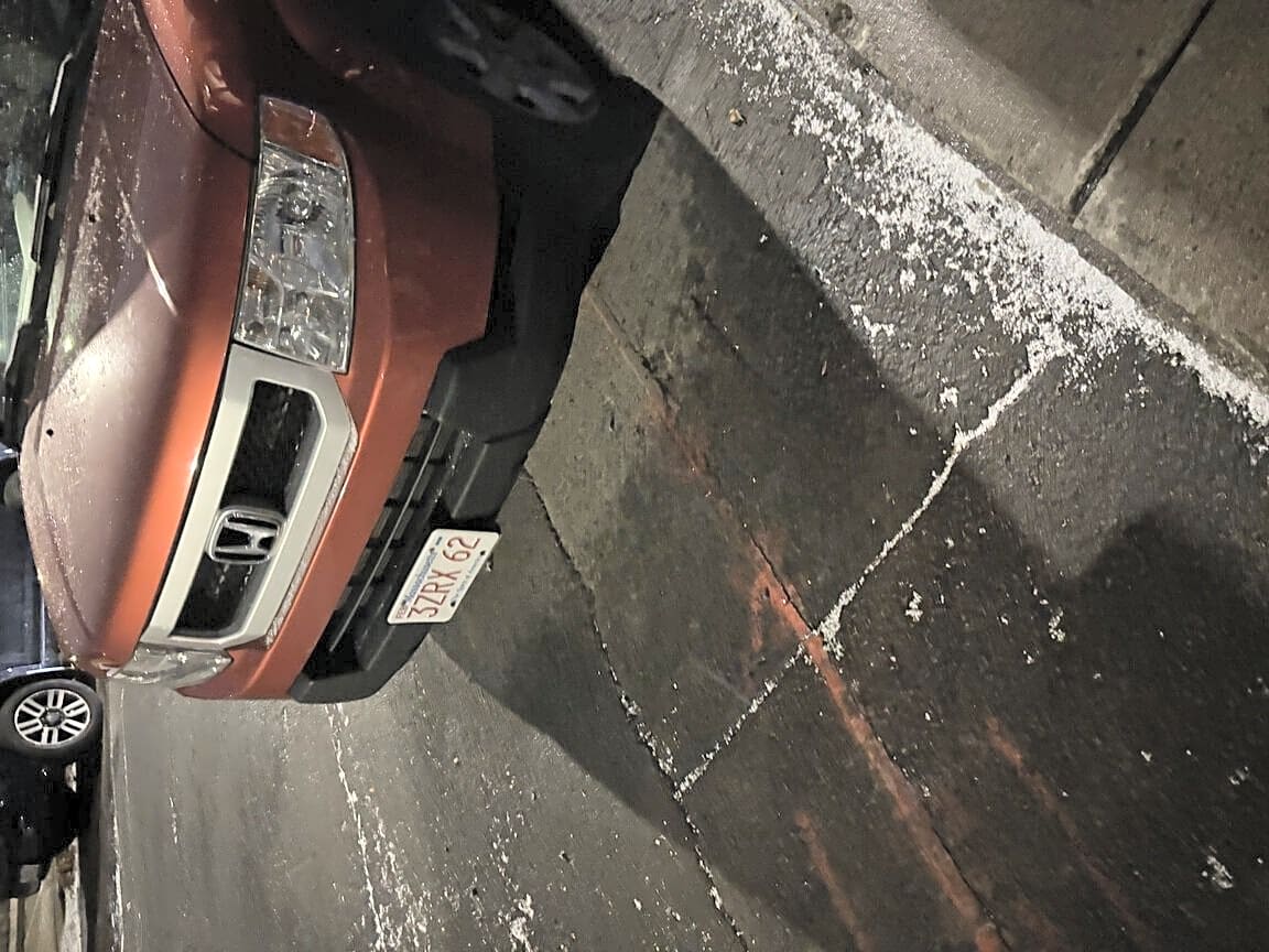 Image submitted with report