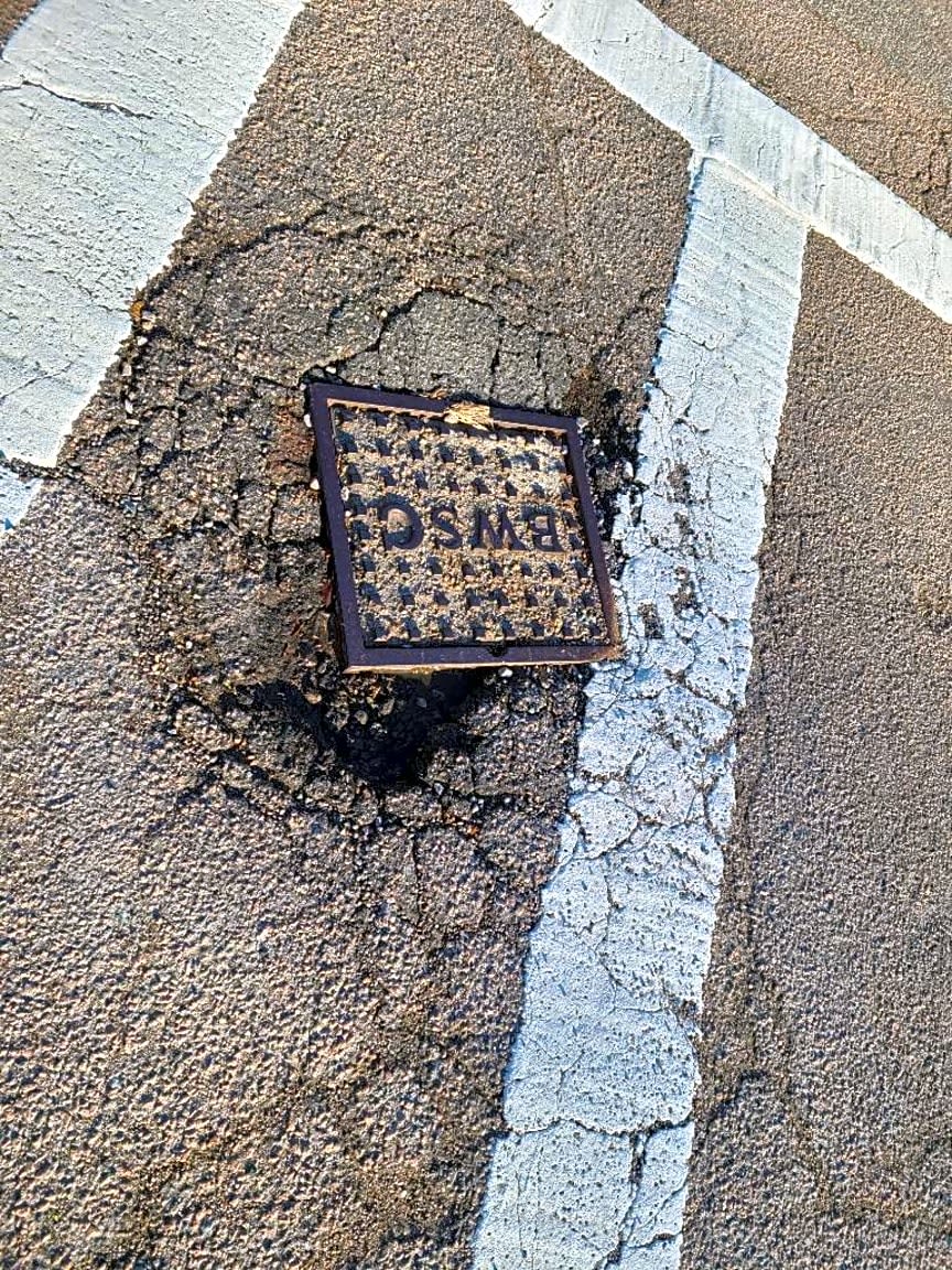 Image submitted with report