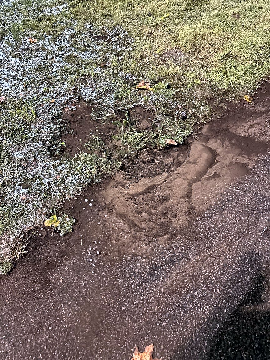 Image submitted with report