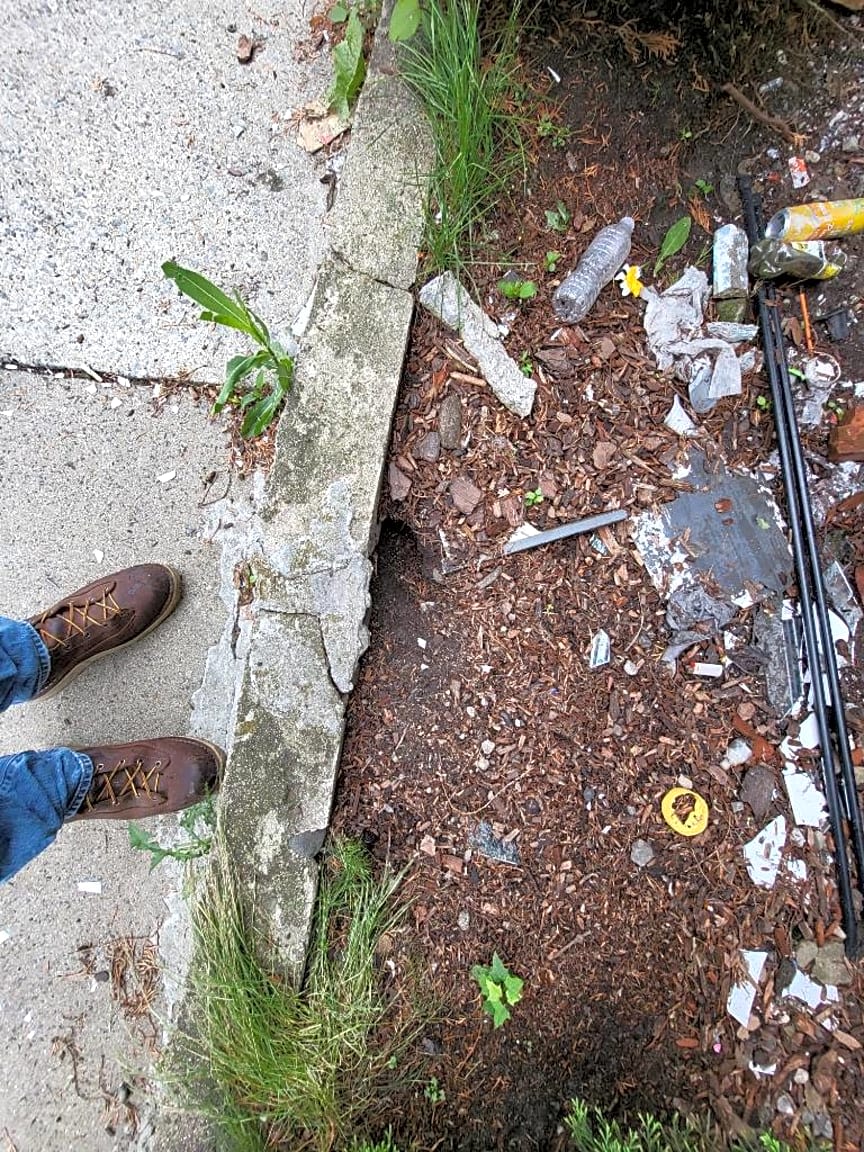 Image submitted with report