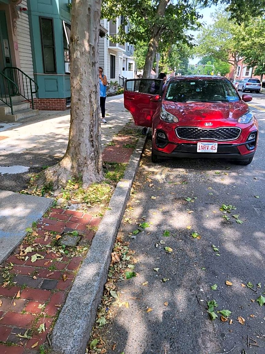 Image submitted with report