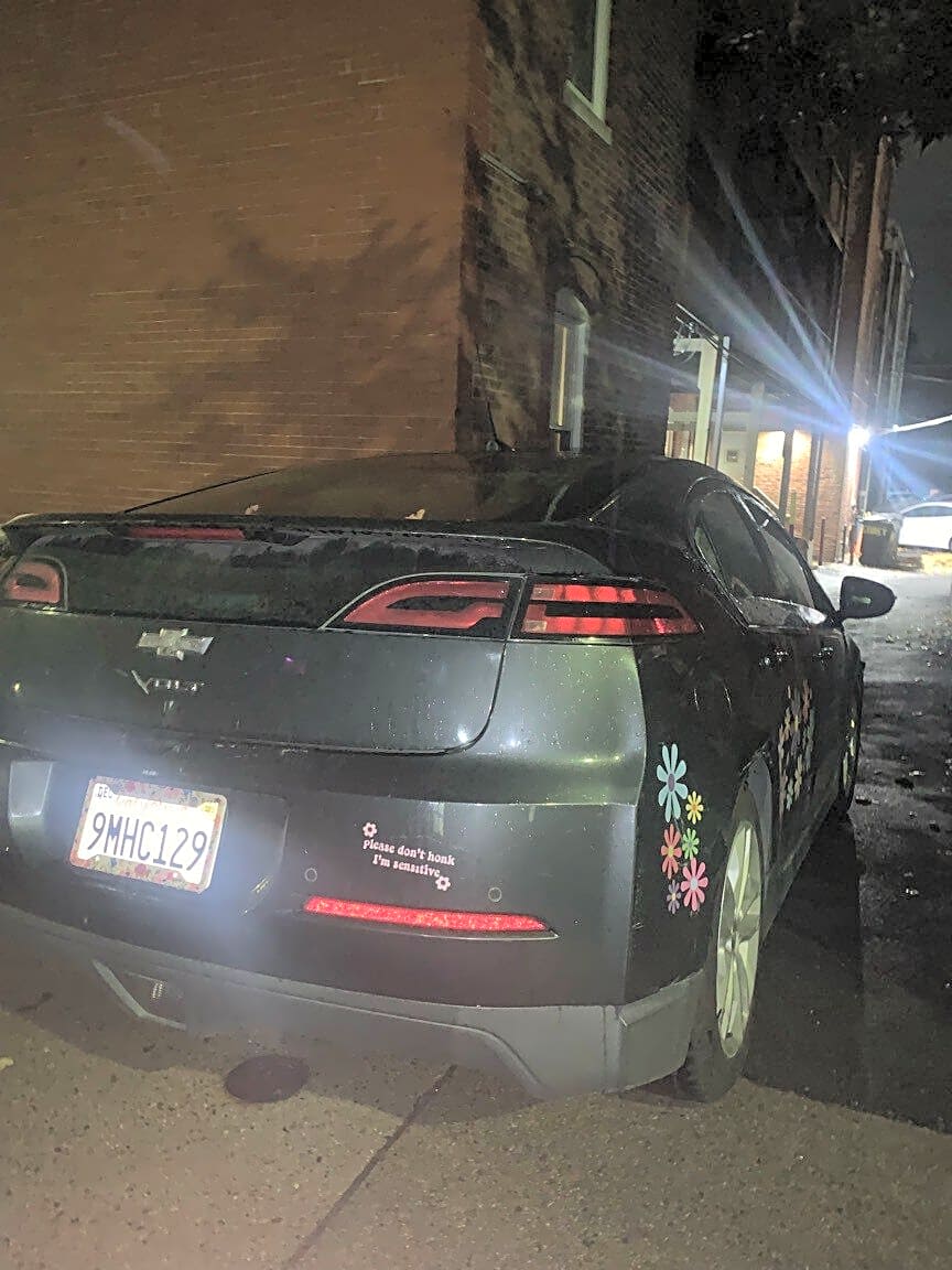 Image submitted with report