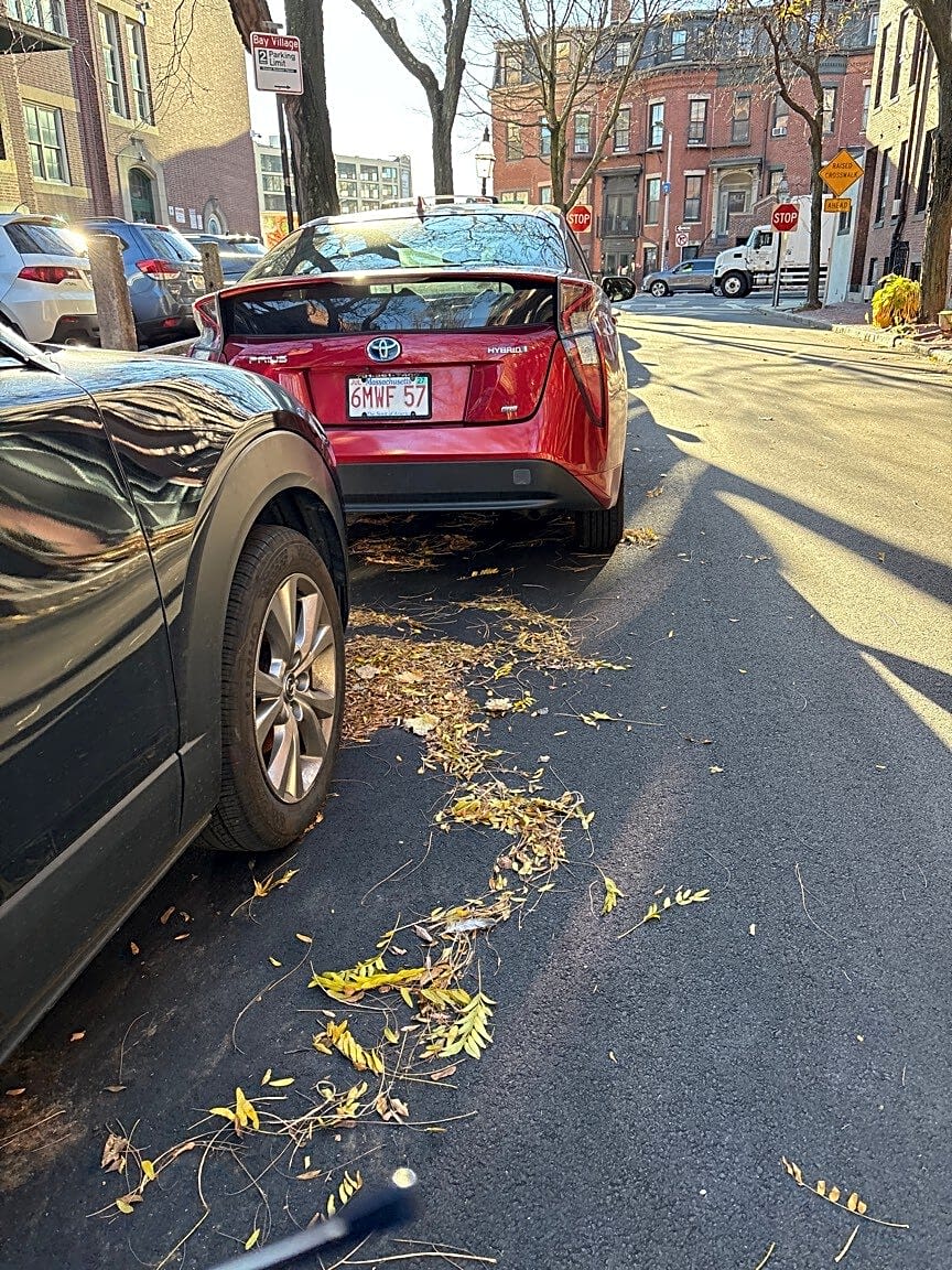 Image submitted with report