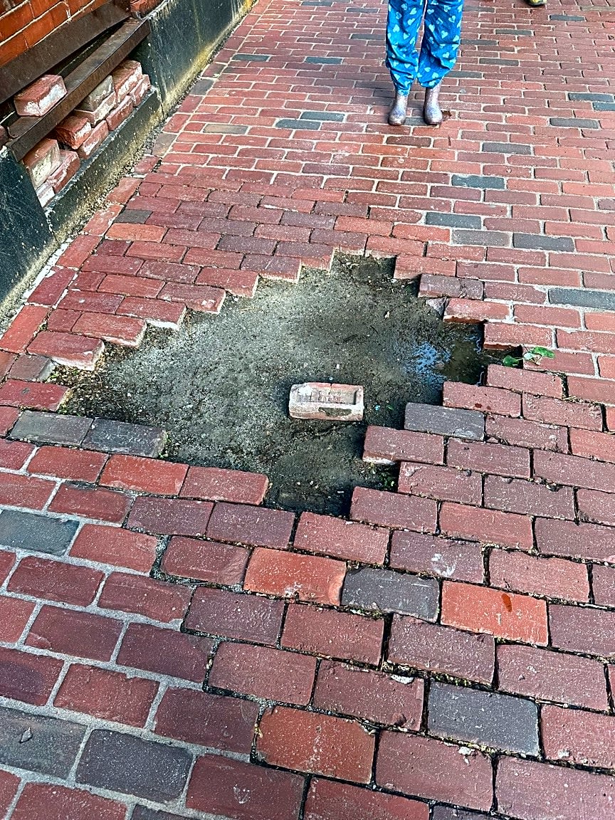 Image submitted with report