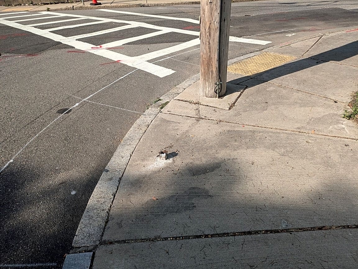 Image submitted with report